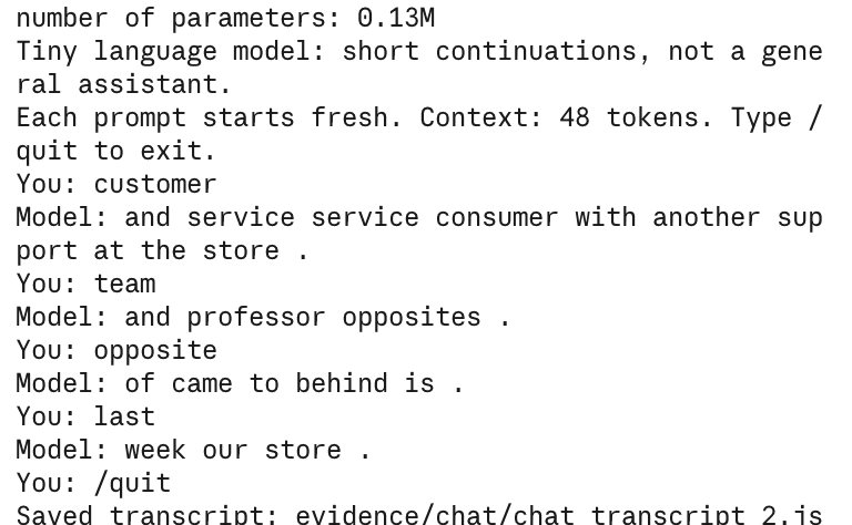 Terminal chat with the tiny model and its odd replies