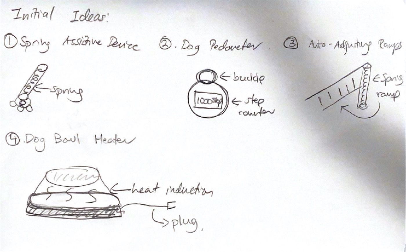 Initial sketches